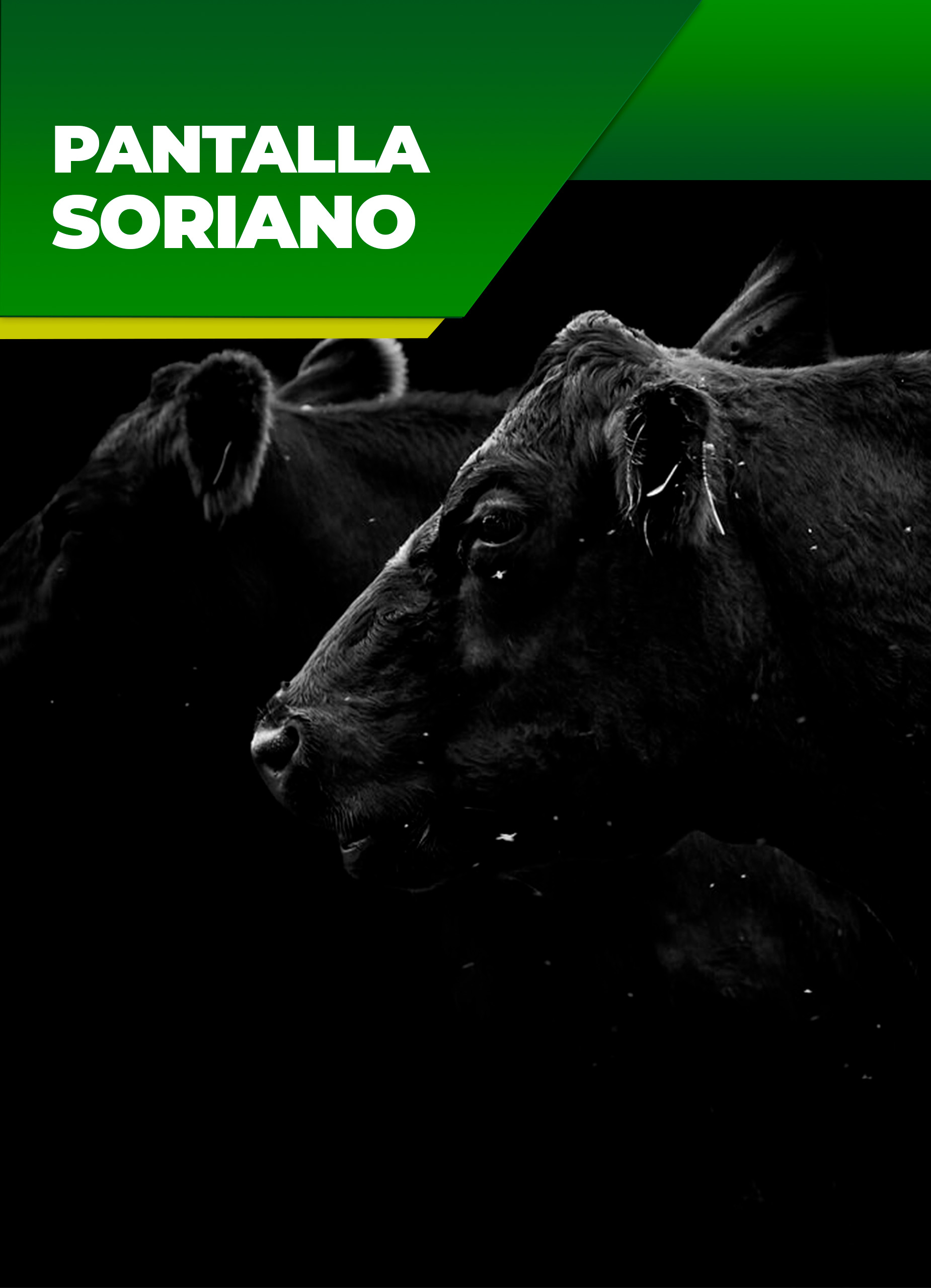 3er. Remate  Pantalla Soriano